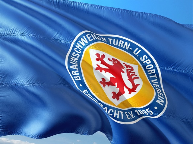 主帥