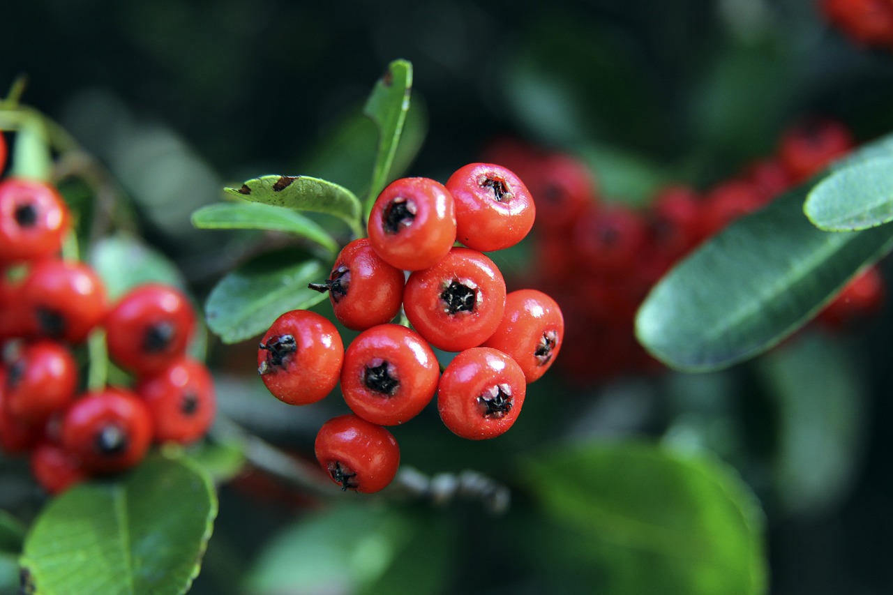 且范围广 且范围广