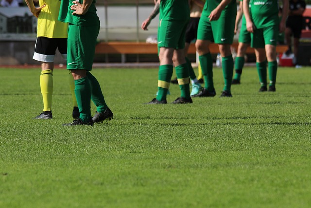 傳球視野被 傳球視野被