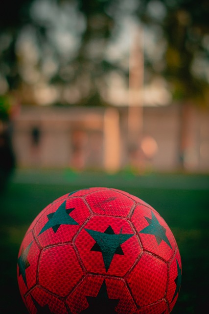 他即便在孤 他即便在孤