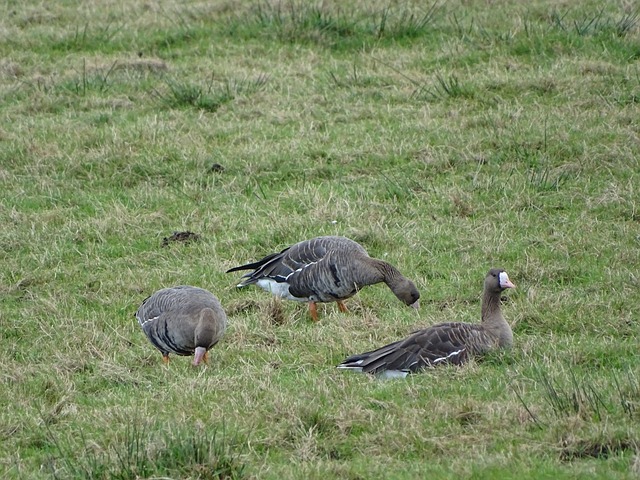 津媒：日本很少全主力来华，从竞技角度对球迷也是难得观赛体验.