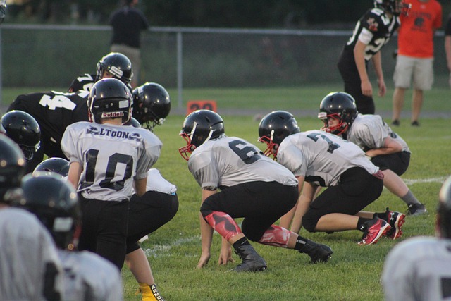 包括塞巴斯 包括塞巴斯