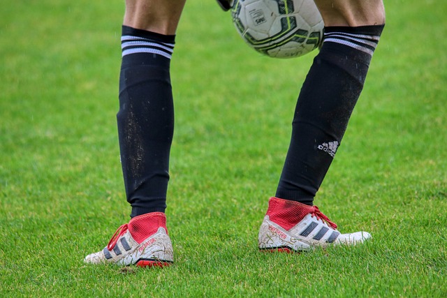 励和支持 励和支持