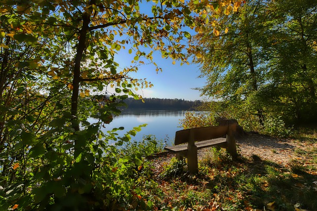 通过网球 通过网球