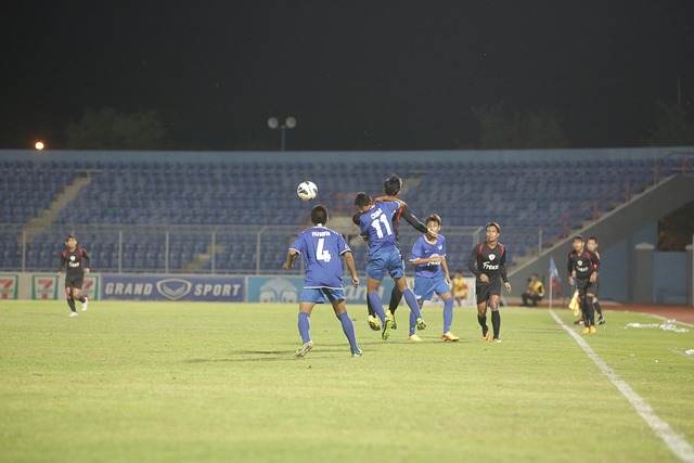 到底是什么 到底是什么