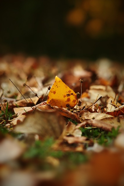 乒乓球实力 乒乓球实力